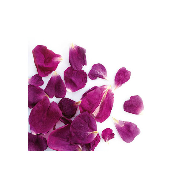 Small freeze-dried rose petals 'Violet'