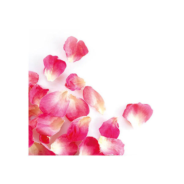Small freeze-dried rose petals 'Rose vif'