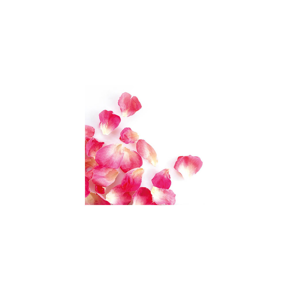 Petits pétales de rose lyophilisés Rose vif