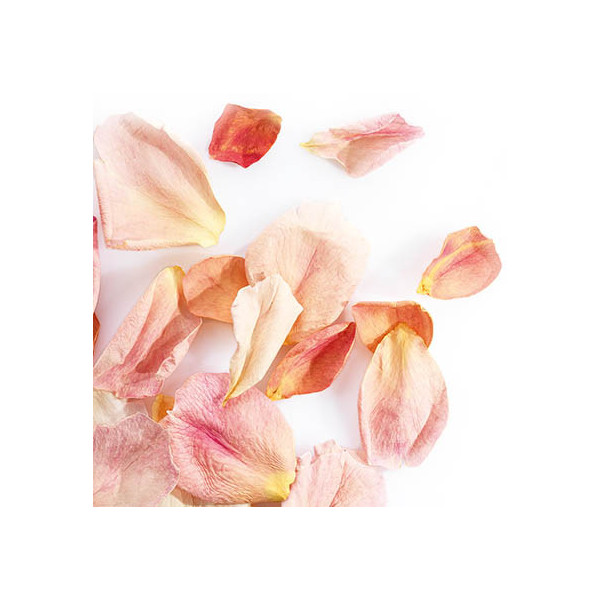 Large freeze-dried rose petals 'Rose pâle'