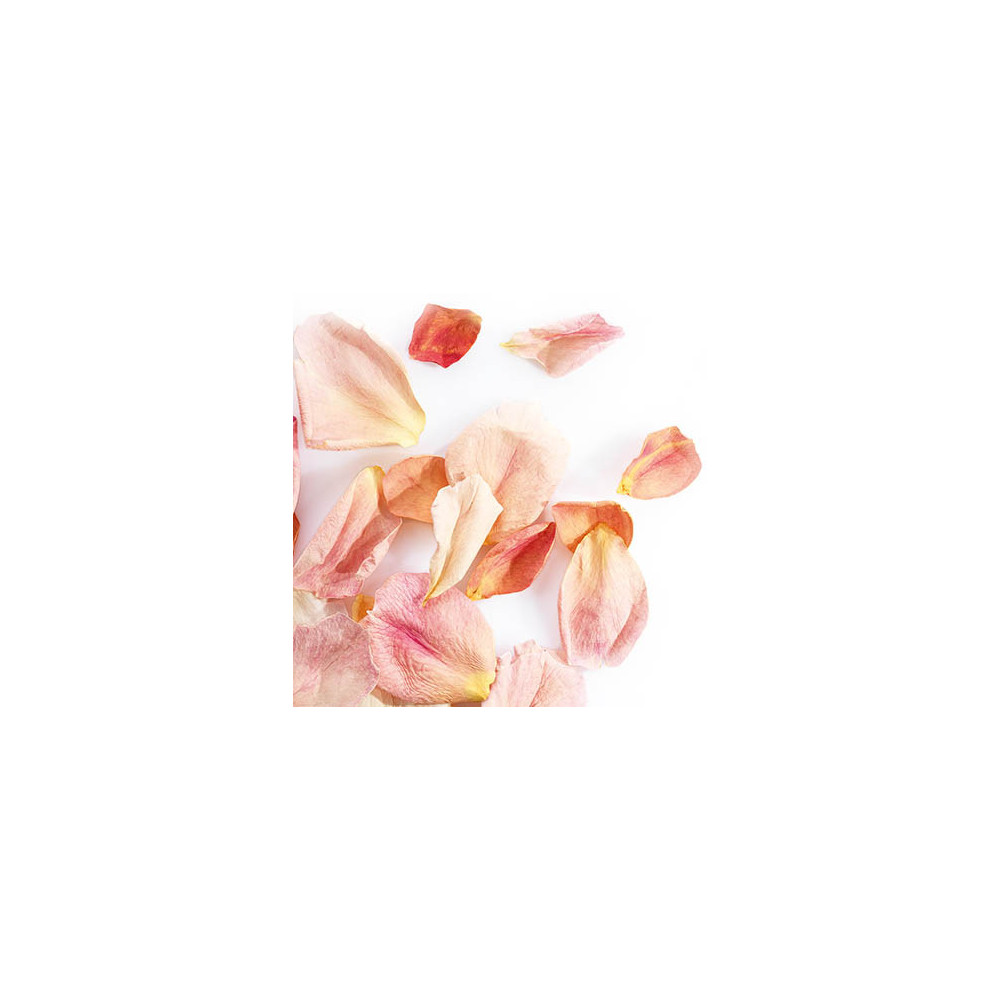 Large freeze-dried rose petals 'Rose pâle'