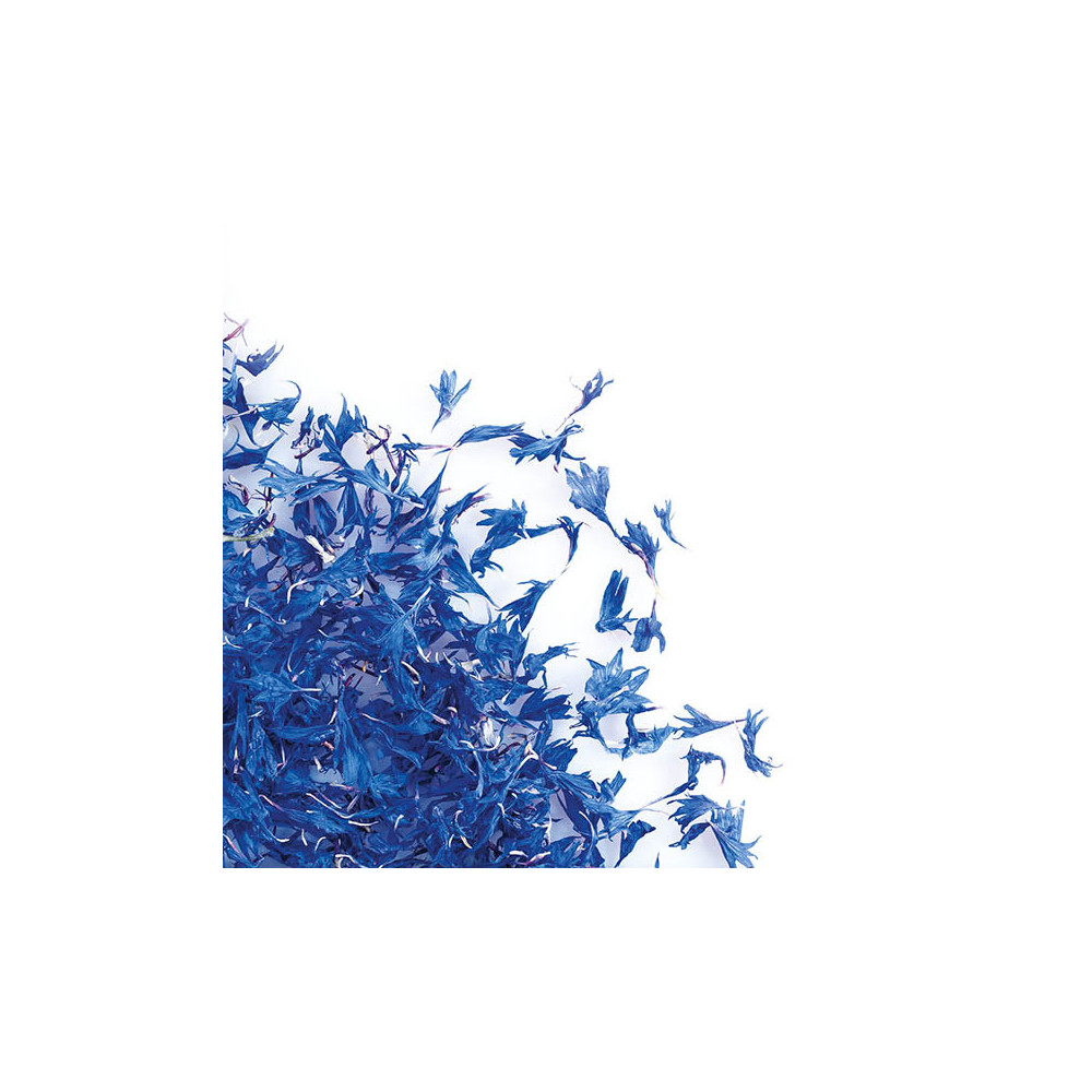 Dried blue cornflower flowers