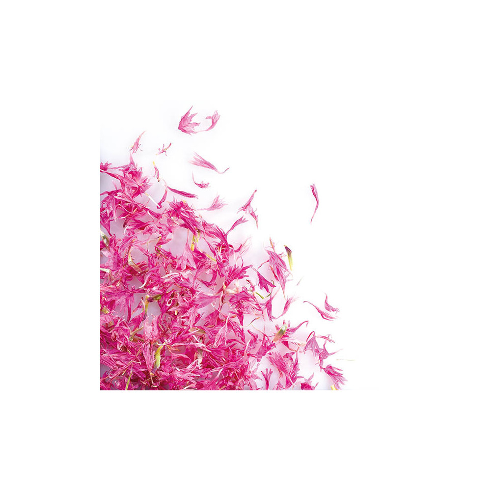 Fleurs de bleuets Roses séchées