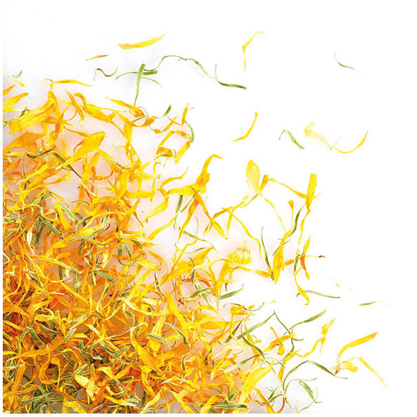 Dried yellow marigold flowers