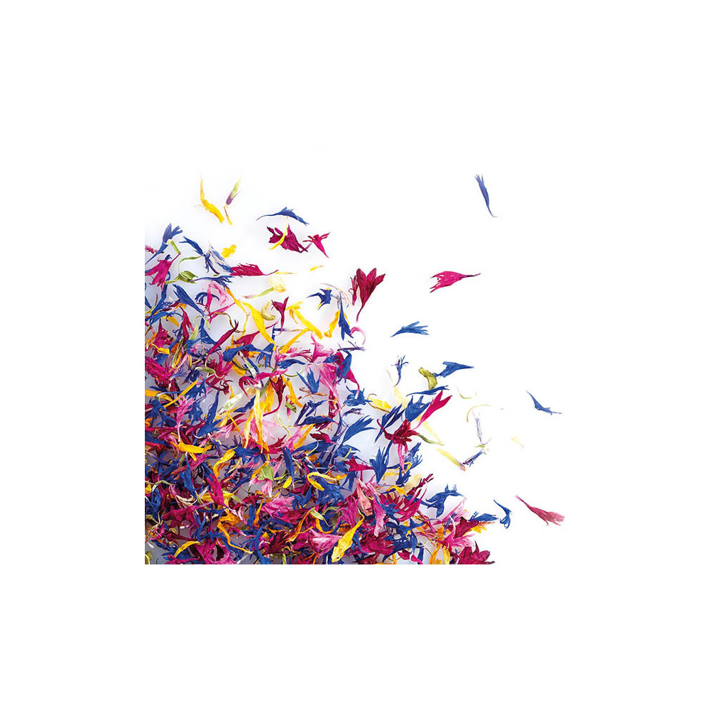 Mélange de fleurs séchées