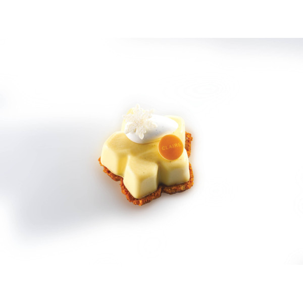 Individual entremets moulds "Flocon"