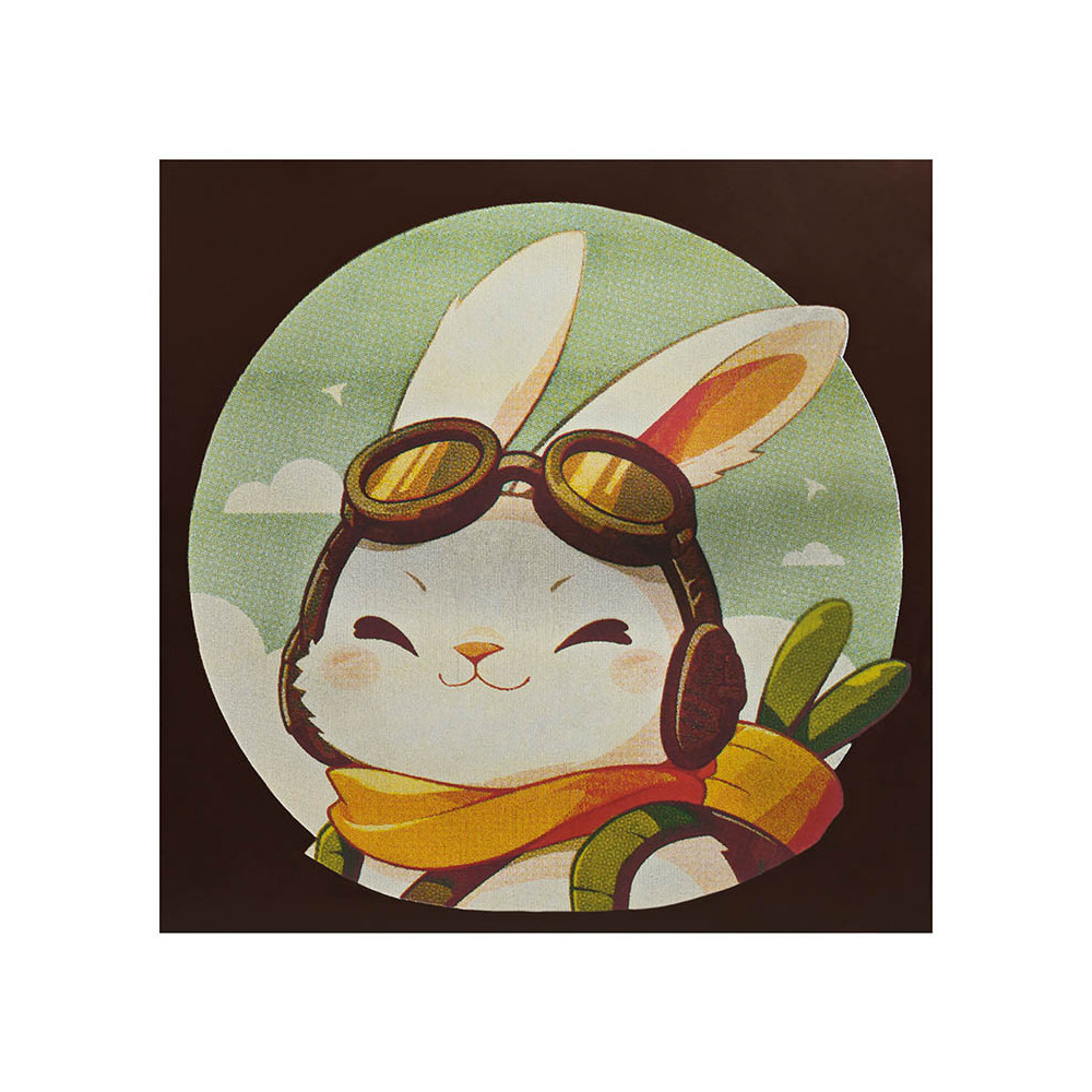 Transfer sheets "Le pilote" for square cards and bags