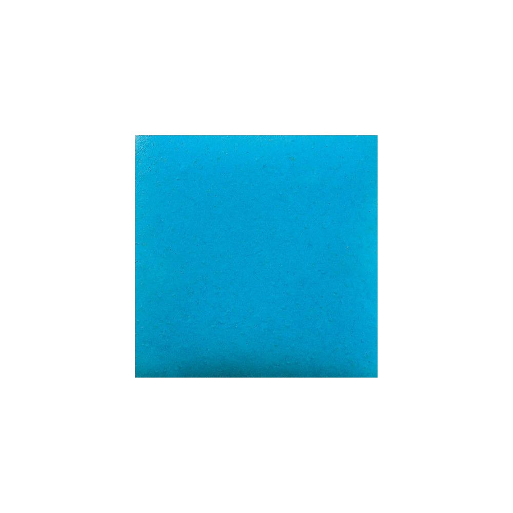 Colorant hydrosoluble Bleu 50 g