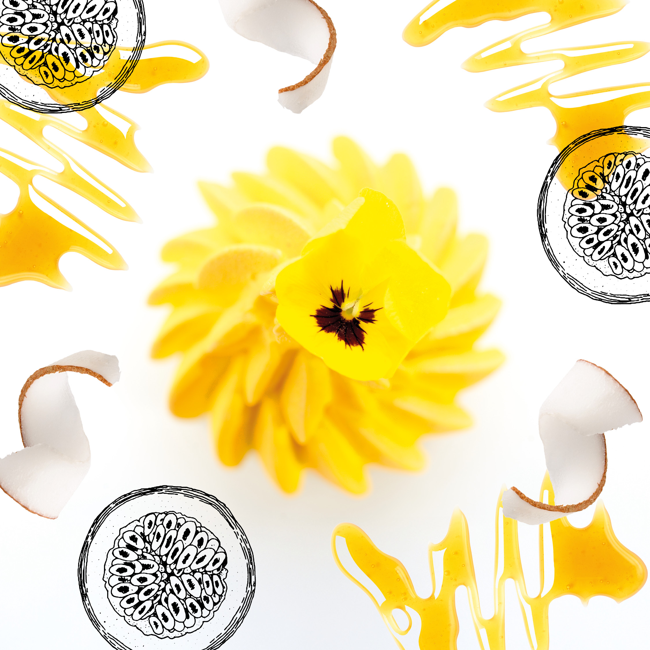 Exotic tart - Image 0