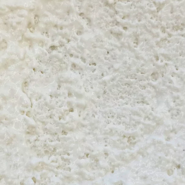 Mousse noix de coco vanille - Image 0