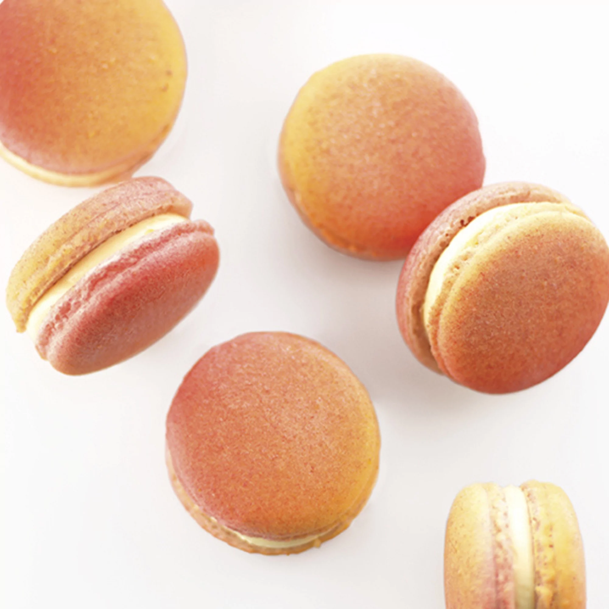 Coque macaron végétale