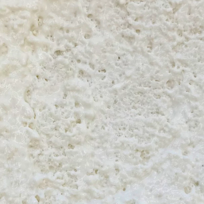 Mousse noix de coco vanille
