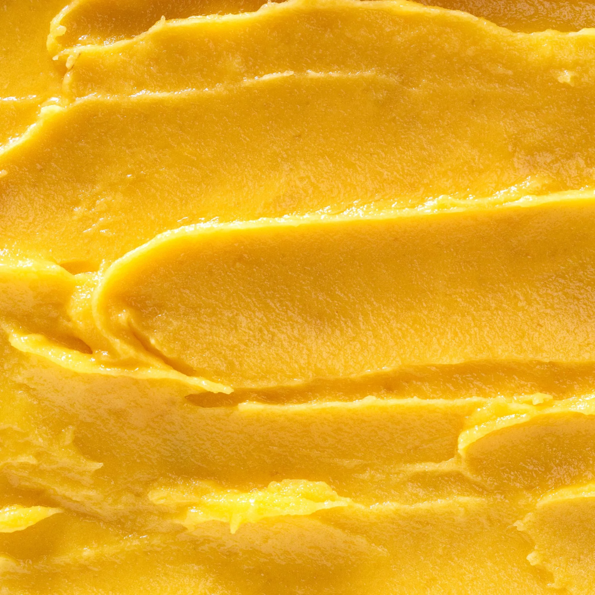 Sorbet mangue passion