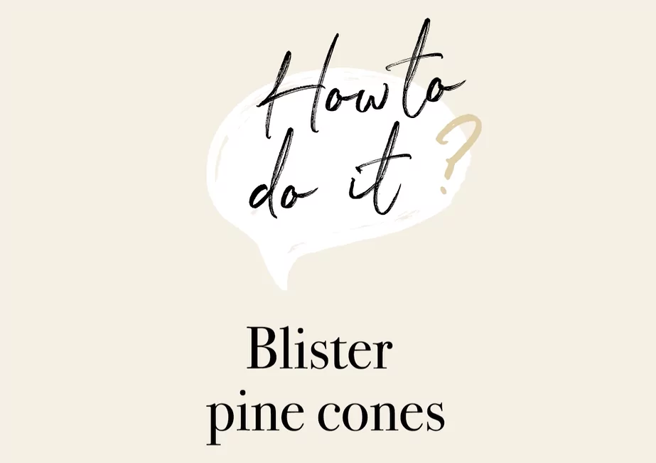 Blister Pine Cones